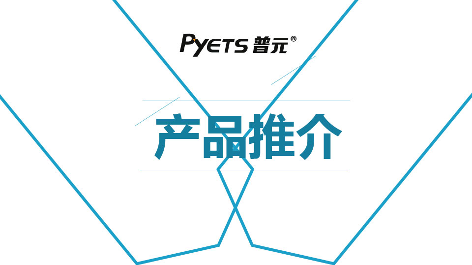 Pyets Electronic Randbook 2024.pdf